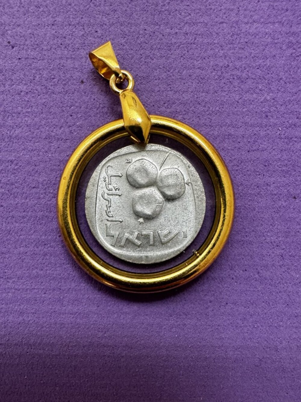 Israel 5 Agorot Pomegranate Coin Resin Pendant Necklace